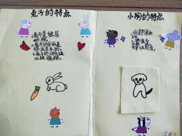 奇妙的动物(从动物身上你能学到什么)