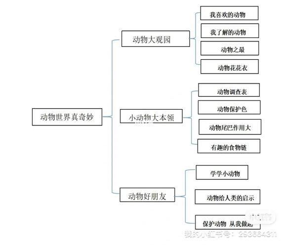奇妙的动物(从动物身上你能学到什么)