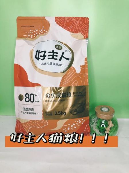 好主人(为什么如此受欢迎)