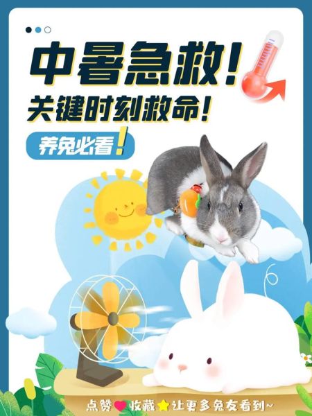 如何养兔( 生病了怎么办)