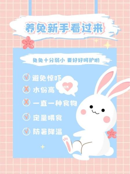 如何养兔( 生病了怎么办)
