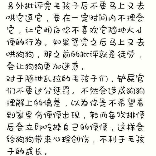 如何养狗(狗狗乱拉乱尿怎么办)