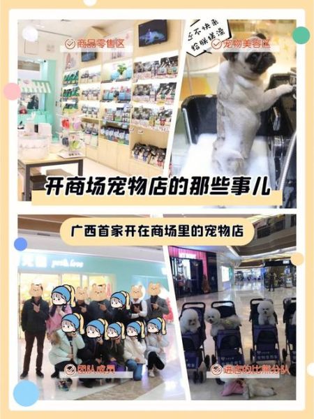 如何开一家宠物店(如何才能脱颖而出)