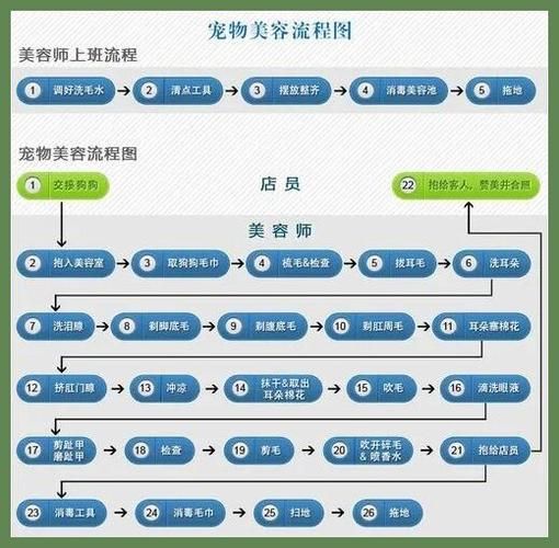 如何开一家宠物店(如何才能脱颖而出)