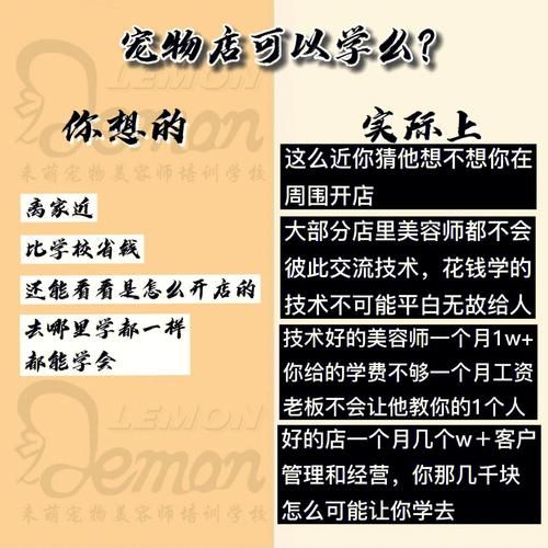 如何开宠物美容店(服务内容要多吗)