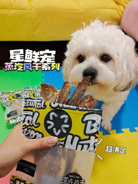 如何引导狗狗进入自己的哪里呢(怎样用零食诱惑它呢)