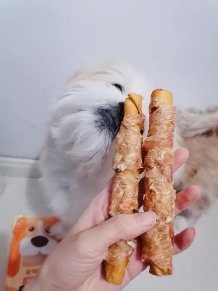 如何引导狗狗进入自己的哪里呢(怎样用零食诱惑它呢)