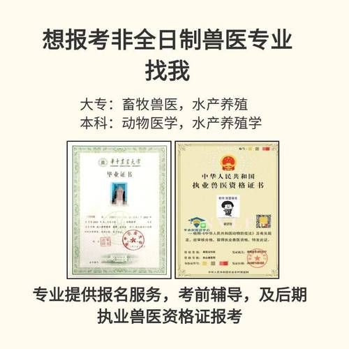 如何成为宠物医生(需要哪些必备条件)