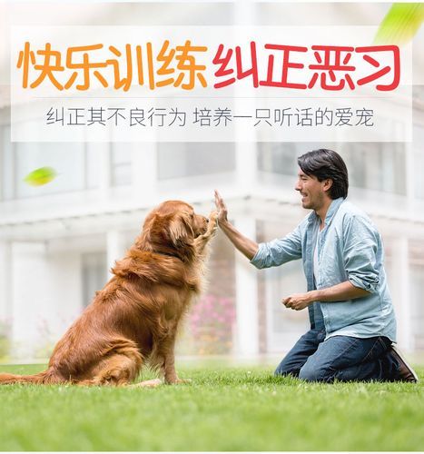 如何训狗(怎么才能让狗狗明白你的指令)
