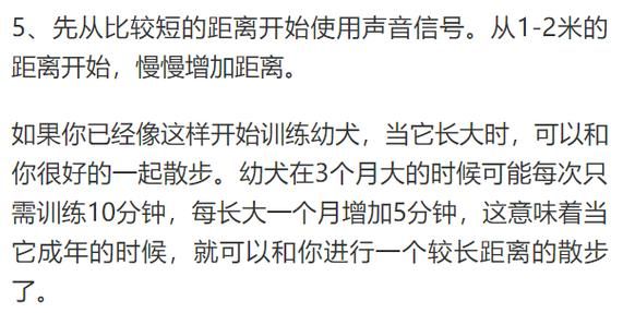 如何训练边境牧羊犬( 怎么才能让边牧乖乖听话)
