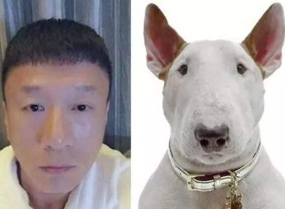 孙红雷 狗(简直一模一样)