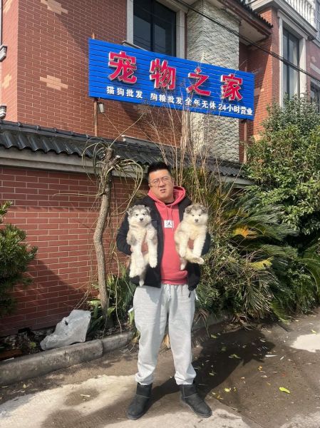 宁波宠物(你想带宠物去哪里玩)