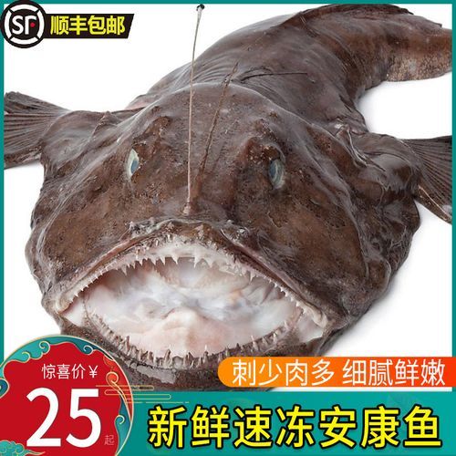 安康鱼价格(怎么比其他鱼便宜那么多)