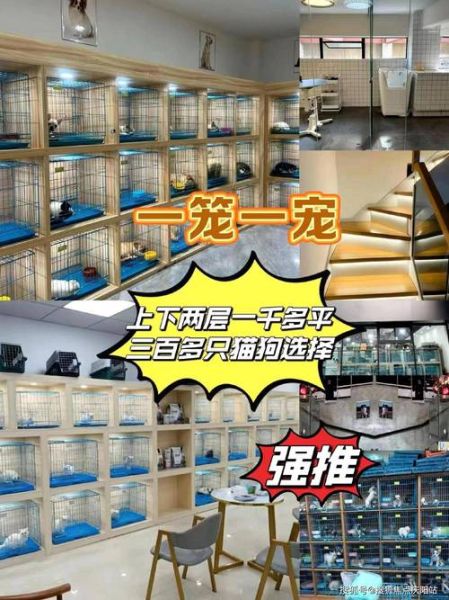 宠物专卖( 哪家宠物店最划算)
