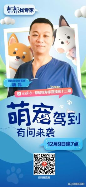 宠物专家(宠物专家带你了解这项神奇的技术)