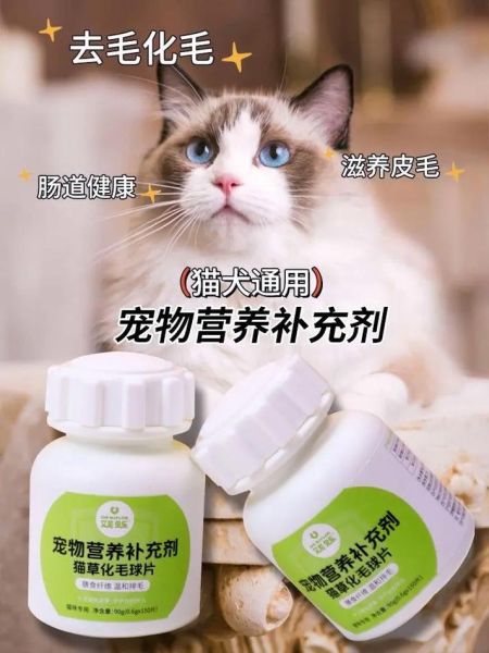 宠物专家(宠物专家带你了解这项神奇的技术)