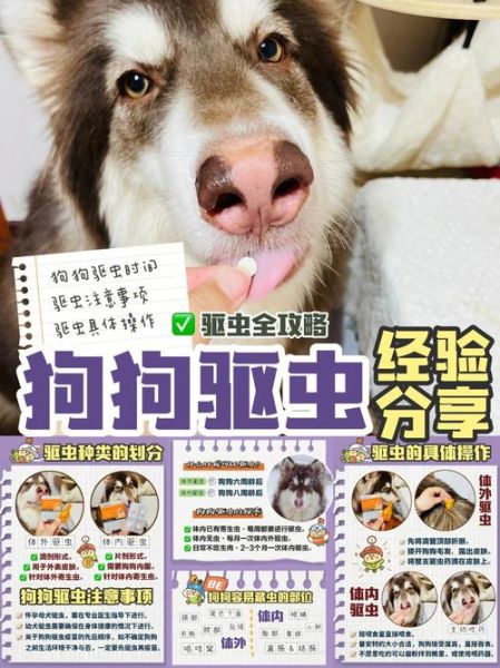 宠物为什么要驱虫(也会害了我们)