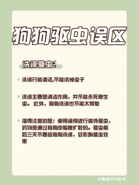 宠物为什么要驱虫(也会害了我们)