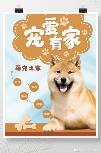 宠物之家(宠物之家是你的首选)