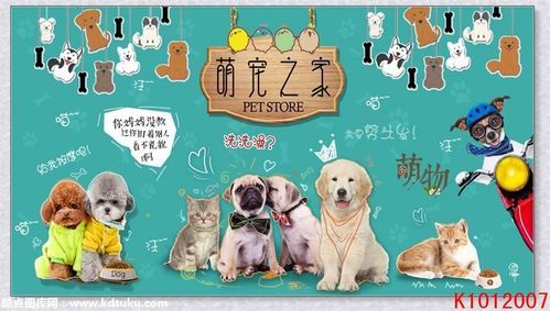 宠物之家(宠物之家是你的首选)