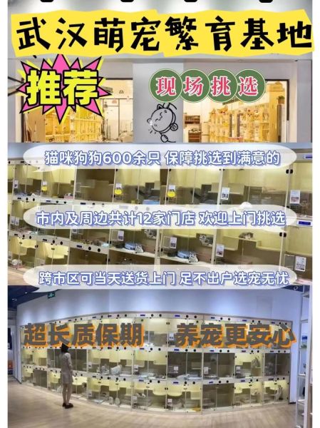宠物交易( 网上交易靠谱吗)