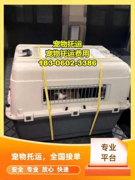 宠物交易平台(如何才能找到安全放心的交易平台)