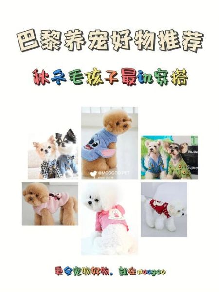 宠物产业( 你家的毛孩子穿什么)
