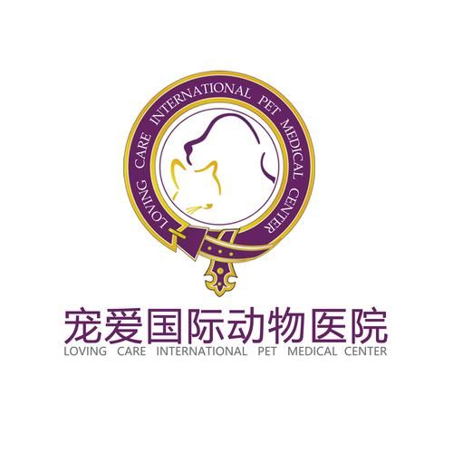 宠物人才网(宠物人才网全都有)