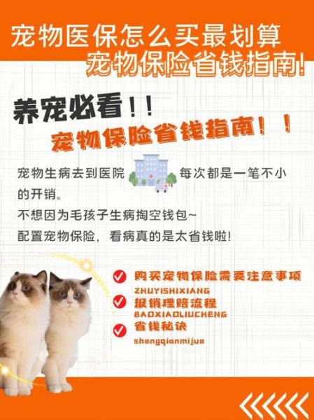 宠物保险( 买宠物保险真的能省钱吗)