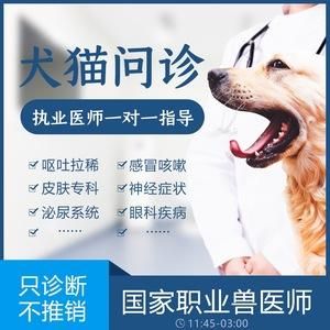 宠物信息(深圳狗医生计划了解一下)