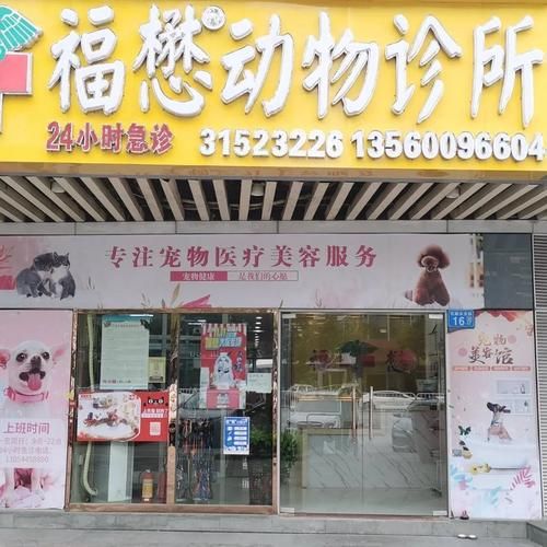 宠物健康之家(哪家宠物医院值得信赖)