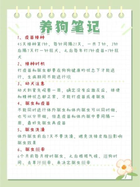 宠物健康知识( 怎么才能让狗狗活得更久)