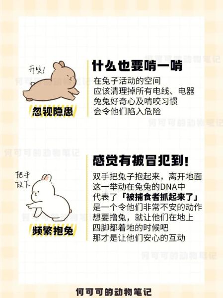 宠物兔养殖基地(怎么才能保证兔子健康)