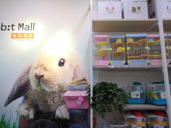 宠物兔商店(宠物兔商店靠谱吗)