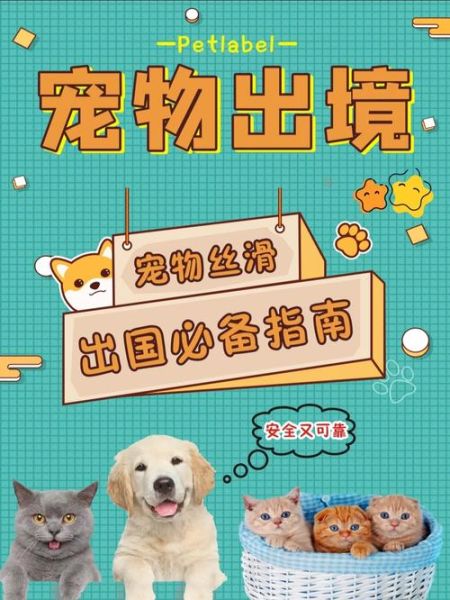 宠物入境(到底该怎么办)