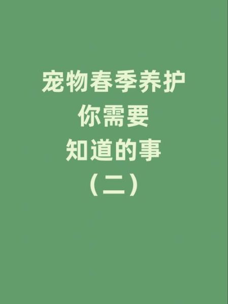 宠物养护(又该怎么处理)