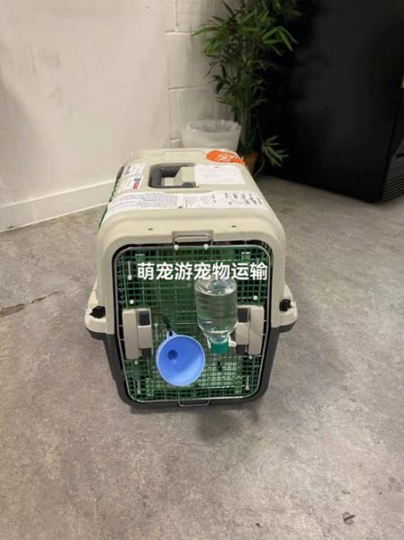 宠物出国(有哪些注意事项)
