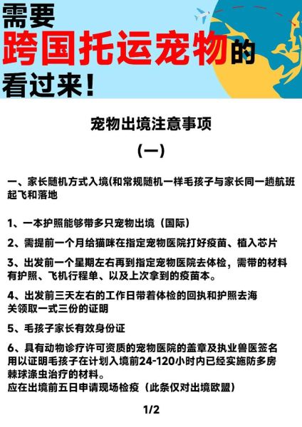 宠物出境( 要提前多久开始准备)
