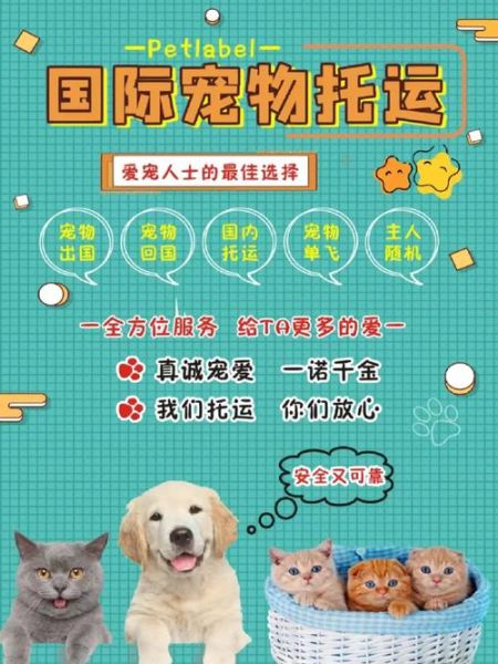 宠物出境( 要提前多久开始准备)