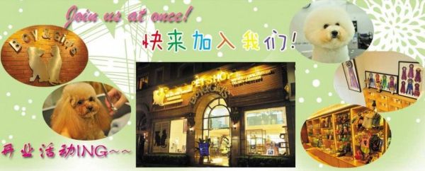 宠物加盟(加盟费多少钱)