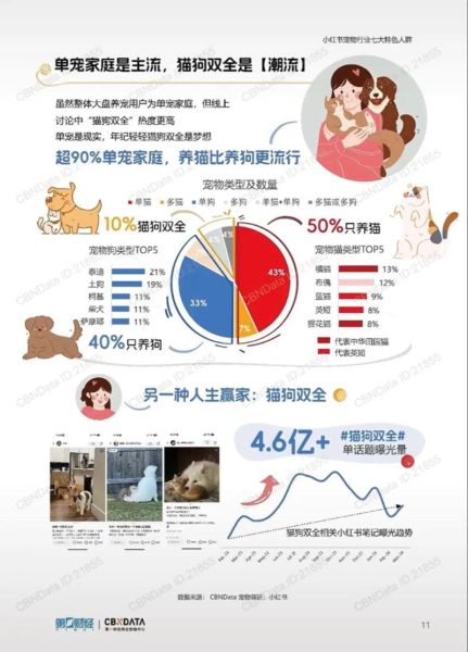 宠物医生( 他们需要学习哪些专业知识)