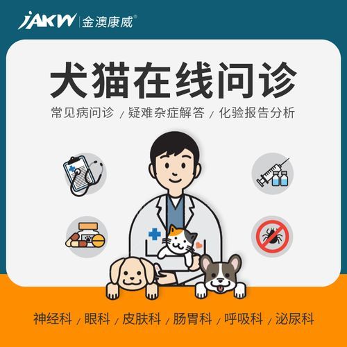 宠物医生咨询(宠物医生在线咨询靠谱吗)