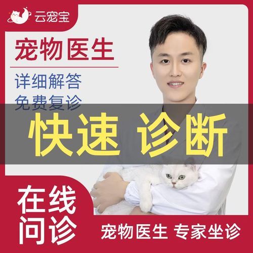 宠物医生咨询(宠物医生在线咨询靠谱吗)