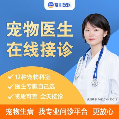 宠物医生问诊(能解决哪些问题)