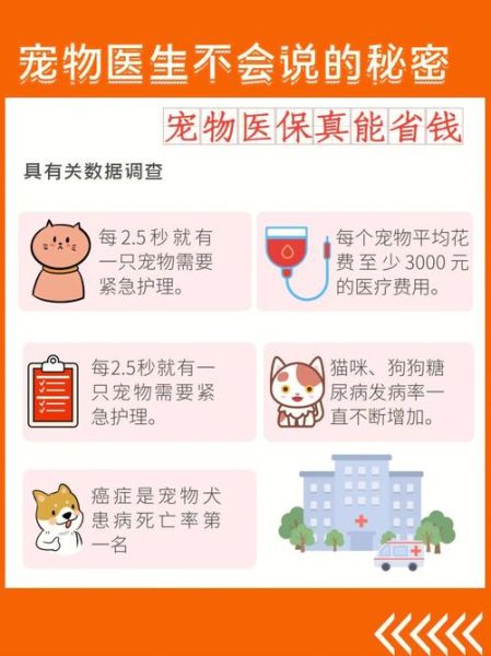 宠物医疗( 要不要买保险)