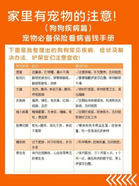 宠物医疗( 要不要买保险)