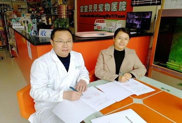 宠物医疗技术(毕业后能找到好工作吗)