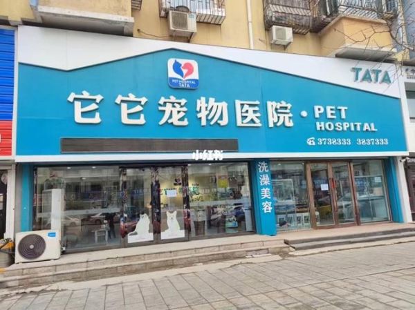 宠物医院 加盟(哪个品牌更靠谱)