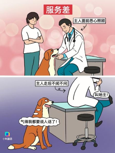 宠物医院(你遇到过哪些难题)