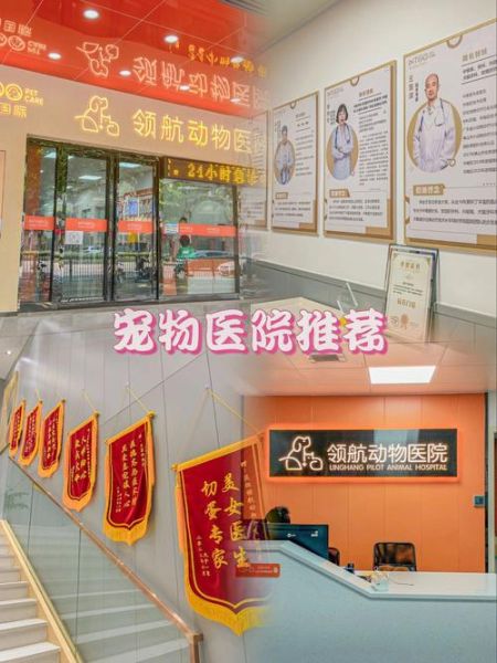 宠物医院咨询( 服务到底怎么样)